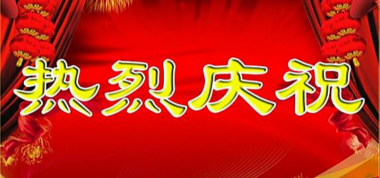 賀——聯(lián)盛公司官網(wǎng)上線運(yùn)行